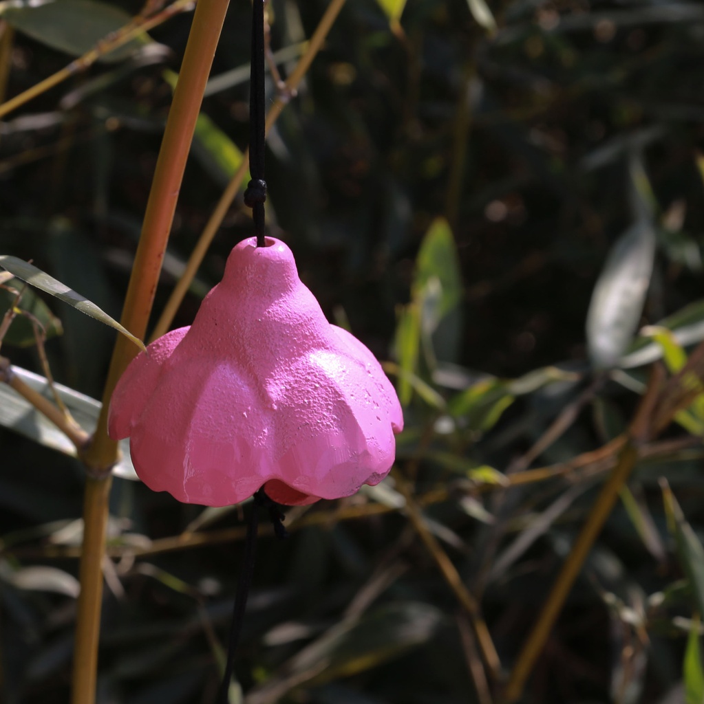 Hoa Anh Đào